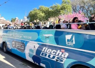 Presentaron una agenda con actividades gratuitas para toda la familia