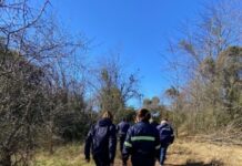 Denuncian desmontes en Paso Vera Norte
