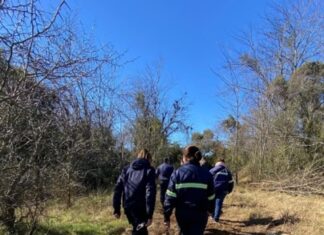 Denuncian desmontes en Paso Vera Norte
