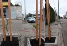 El Plan de Arbolado avanza con nuevas plantaciones en la ciudad