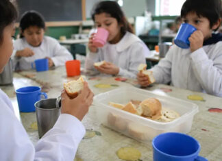 Presentaron un amparo contra el nuevo sistema de comedores escolares