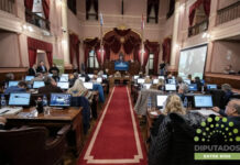 Salud, obras y concesiones en Diputados
