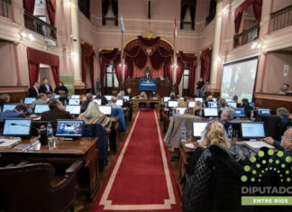 Salud, obras y concesiones en Diputados