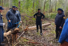 Encontraron sano y salvo a un hombre que era buscado en una zona rural