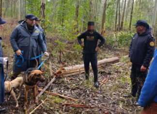 Encontraron sano y salvo a un hombre que era buscado en una zona rural