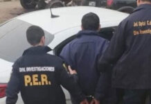 Detuvieron a un hombre acusado de robar acompañado por sus perros