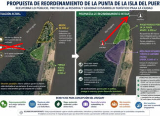 Cuestionan la propuesta de construir un hotel en la Isla del Puerto