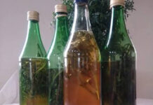Caña con ruda: la tradición que recibe a agosto