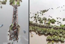 Inundaciones en Santa Fe: trasladan ganado y crece la preocupación por más lluvias