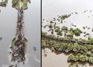 Inundaciones en Santa Fe: trasladan ganado y crece la preocupación por más lluvias