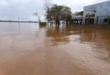 Concordia. El río Uruguay volverá a crecer y superará el nivel de alerta