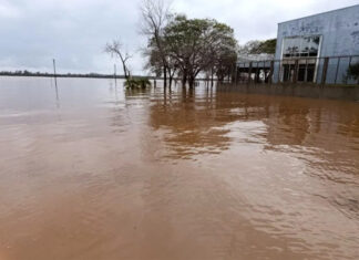 Concordia. El río Uruguay volverá a crecer y superará el nivel de alerta