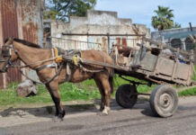 Dos hombres fueron aprehendidos tras ingresar a un predio y llevarse materiales