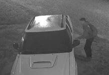 Intentó robar una camioneta, pero la alarma lo hizo escapar