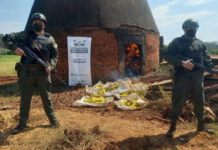 Destruyeron más de 4,7 toneladas de marihuana y más de 2 kilos de ketamina