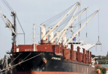 El puerto de Concepción del Uruguay volverá a exportar madera con destino a India