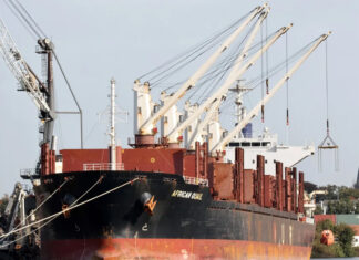 El puerto de Concepción del Uruguay volverá a exportar madera con destino a India