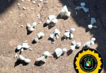 Dos menores fueron demorados con cocaína durante un control policial