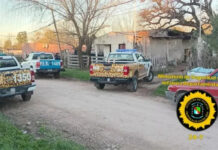 Dos detenidos por una investigación de abigeato en San José