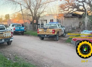Dos detenidos por una investigación de abigeato en San José