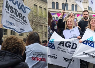 Docentes universitarios profundizan el plan de lucha en agosto