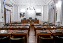 El Senado aprobó la reglamentación del artículo 60 de la Constitución