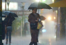 Alerta amarilla por lluvias para diez departamentos de Entre Ríos