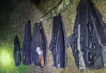 Desbaratan una red de caza furtiva en Islas del Ibicuy