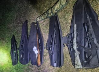 Desbaratan una red de caza furtiva en Islas del Ibicuy