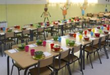 Britos advirtió que el sistema alimentario escolar no garantiza prestaciones nutritivas