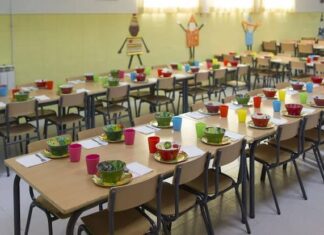 Britos advirtió que el sistema alimentario escolar no garantiza prestaciones nutritivas