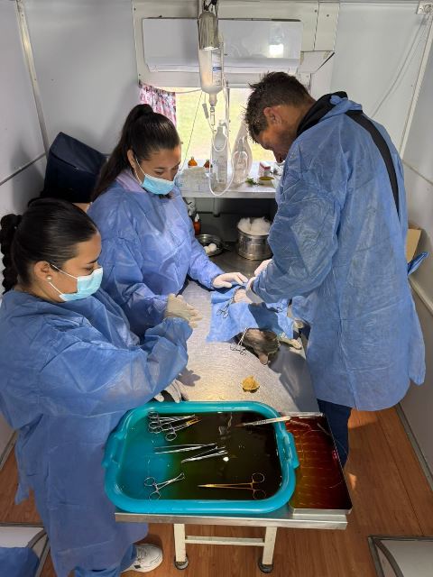 Zoonosis (7)