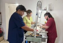 Más de 100 atenciones veterinarias en una semana: el Castramóvil continúa recorriendo los barrios