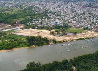 Que la arena no nos tape el bosque