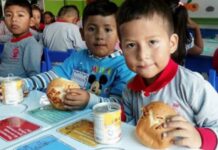 Convocan a familias por un amparo colectivo sobre el programa alimentario escolar