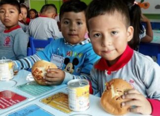 Convocan a familias por un amparo colectivo sobre el programa alimentario escolar
