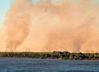 Detectaron nuevos focos de incendio en las islas entrerrianas
