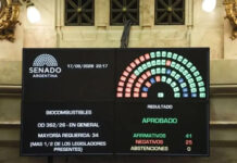 El Senado aprobó la nueva Ley de Biocombustibles con cambios en los cortes obligatorios