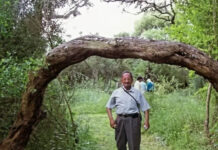 Murió Blas Jaime, el último hablante de la lengua chaná