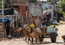 La pobreza volvió a aumentar en Concordia y alcanzó al 56,2% de la población