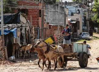 La pobreza volvió a aumentar en Concordia y alcanzó al 56,2% de la población