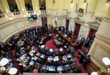 El Senado convirtió en ley la reforma de Zonas Frías y restringió el subsidio al gas