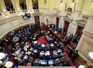 El Senado convirtió en ley la reforma de Zonas Frías y restringió el subsidio al gas