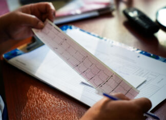 Día Mundial del Corazón: promueven hábitos saludables para prevenir enfermedades cardiovasculares