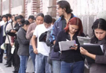 La actividad económica creció, pero cayó el empleo registrado