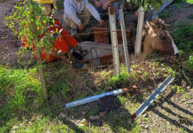 Rescataron a un animal que había caído en un foso