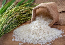 Entre Ríos creó un sello para distinguir al arroz producido en la provincia