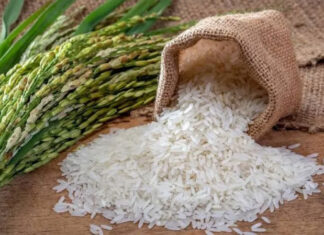 Entre Ríos creó un sello para distinguir al arroz producido en la provincia