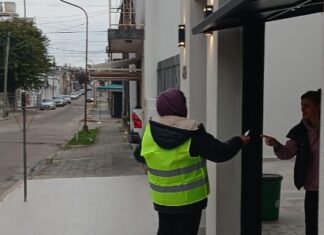 Plantarán 100 nuevos árboles y ya comenzaron las notificaciones a vecinos