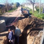 cloacas1